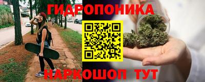 прущая мука Гай